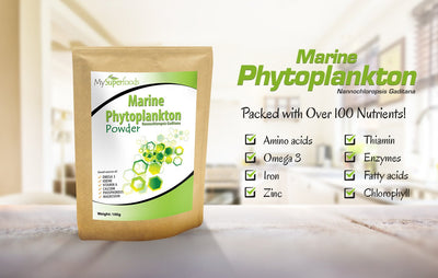 Marine Phytoplankton Powder (100g/3.5 oz)