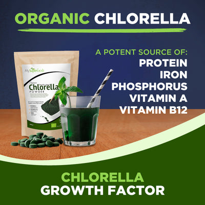Bio Chlorella-Pulver