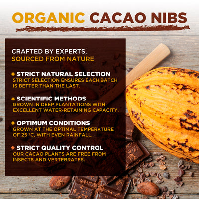 Nibs de Cacao Bio
