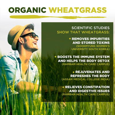 Organic Wheatgrass Powder